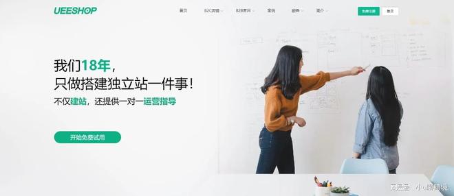 趣独立站都死在第一步？选平台避坑指南冰球突破豪华版手机版为什么大多数的情(图4)